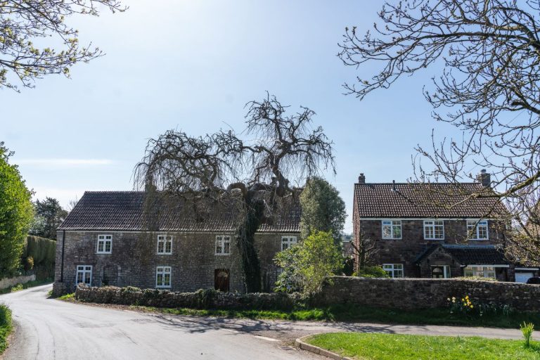 Ultrafast full-fibre broadband in Felton