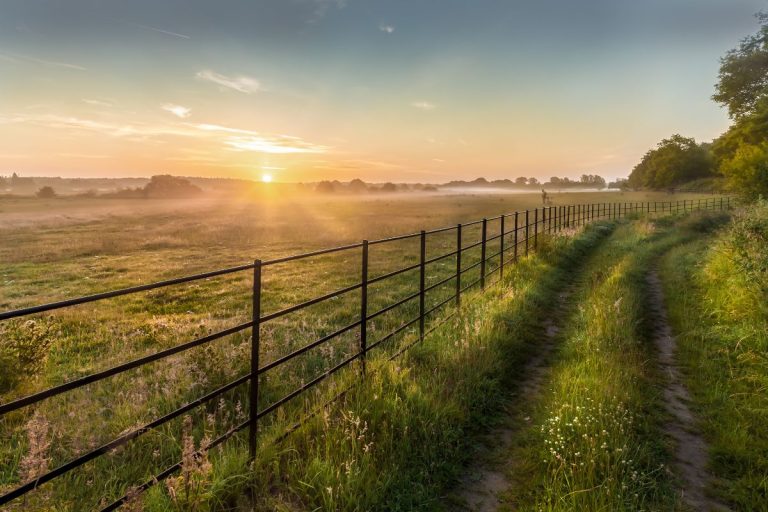 Truespeed broadband in Norfolk